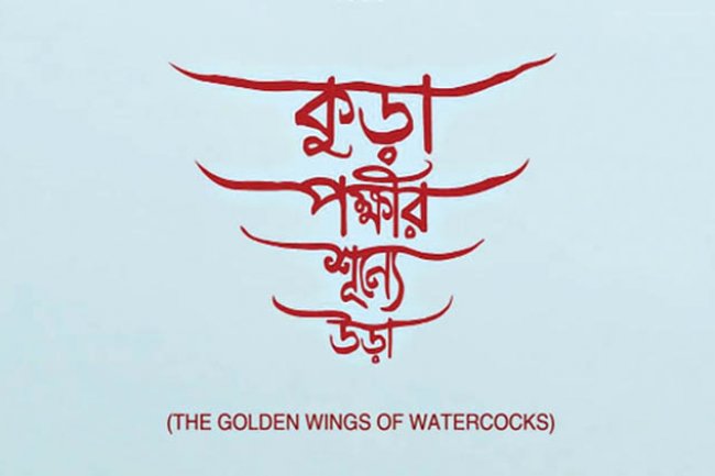 ‘কুড়া পক্ষীর শূন্যে উড়া’স্টার সিনেপ্লেক্সে!