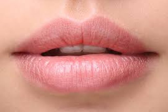 ঠোঁট বলে দিবে আপনি কেমন মানুষ! কিভাবে?