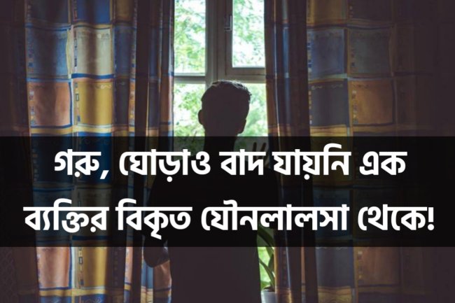 গরু, ঘোড়াও বাদ যায়নি এক ব্যক্তির বিকৃত যৌনলালসা থেকে!