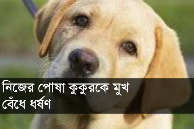নিজের পোষা কুকুরকে মুখ বেঁধে ধর্ষণ