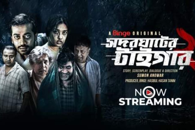 সদরঘাটের টাইগার ২ রিভিউ