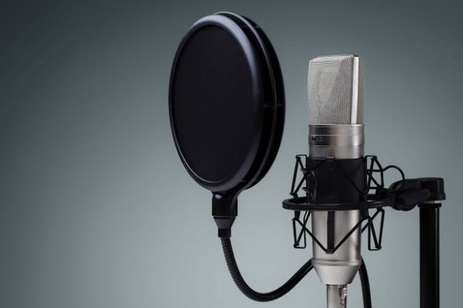 প্রফেশনাল ভয়েস তৈরি করুন ইউটিউব ভিডিওর জন্যে