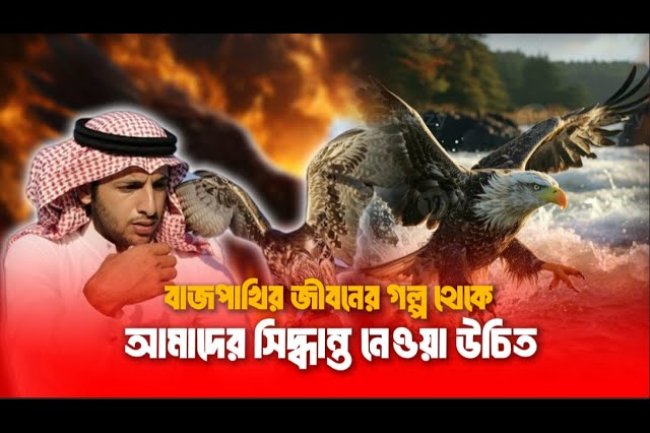 বাজপাখির জীবনে গল্প থেকে আমাদের সিদ্ধান্ত নেওয়া উচিত