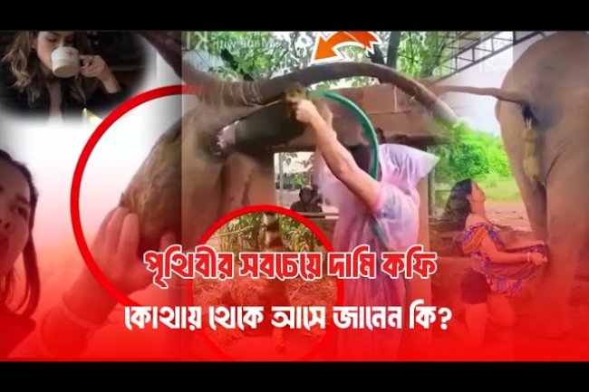 পৃথিবীর সবছেয়ে দামি কফি কোথায় থেকে আসে জানেন কি? The most expensive coffee in the world