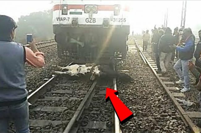 এরকম দূভাগ্যবান মানুষ আপনি এর আগে কখনও দেখেন নি