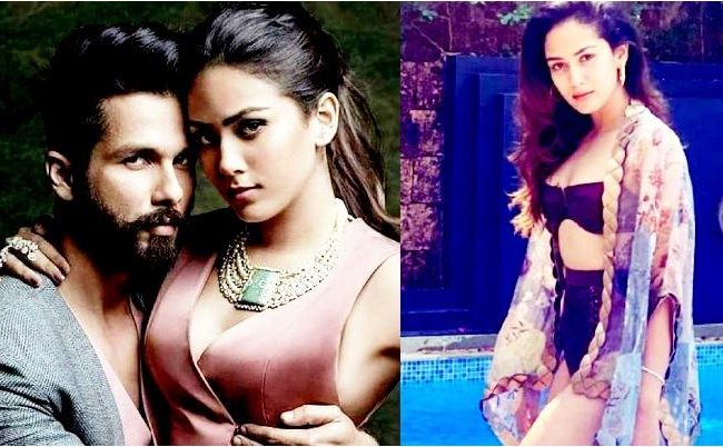 গোয়ায় গিয়ে বিকিনিতে মিরা!