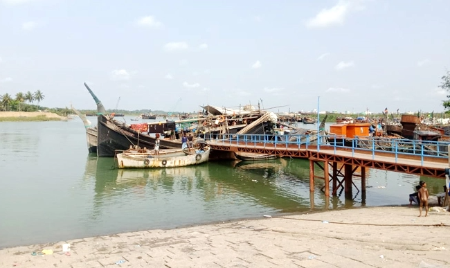 মাছেরও লকডাউন! পানির নিচেও কি করোণা?