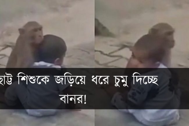 ছোট্ট শিশুকে জড়িয়ে ধরে চুমু দিচ্ছে বানর!
