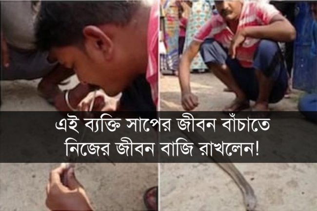 এই ব্যক্তি সাপের জীবন বাঁচাতে নিজের জীবন বাজি রাখলেন! [ভিডিও সহ]