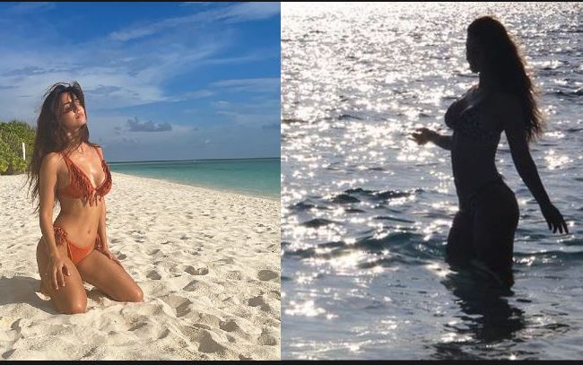 নিজের জন্মদিনে বিকিনি ছবিতে ঝড় তুললেন দিশা