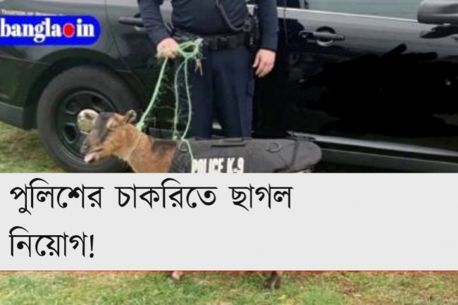পুলিশের চাকরিতে ছাগল নিয়োগ!