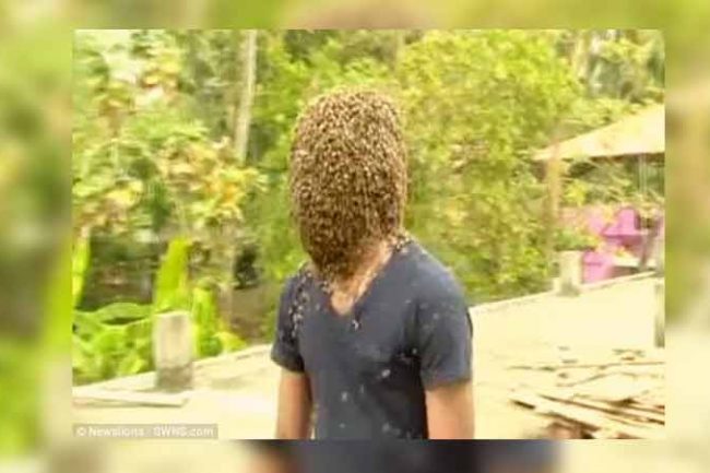 চোখে মুখে মৌমাছি নিয়ে টানা চার ঘন্টা!