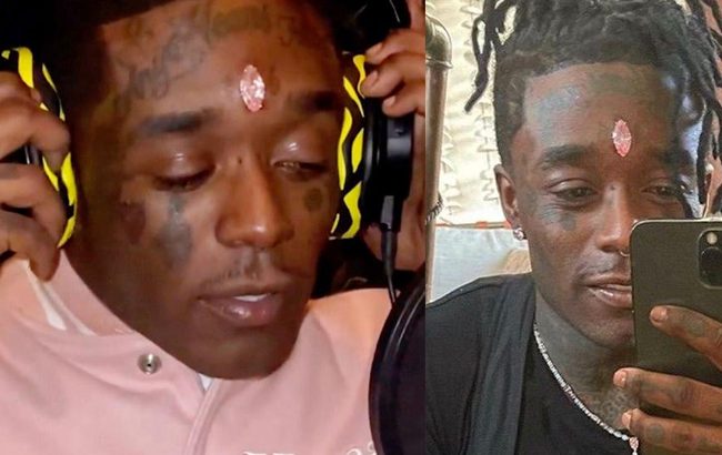 শিল্পীর কপাল কেটে ২০৪ কোটি টাকার হীরা নিয়ে পালালেন ভক্ত!