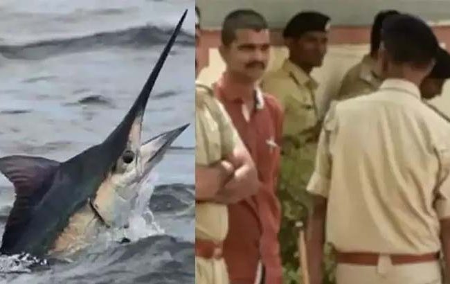 জেলের মৃত্যু, মাছের বিরুদ্ধে মামলা পুলিশের!